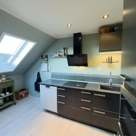 Cozy And Loft In Apartment