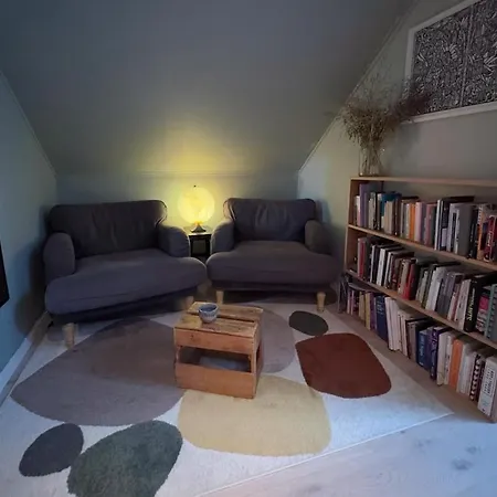 Cozy And Loft In Apartment