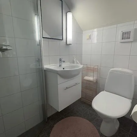 Cozy And Loft In Apartament *