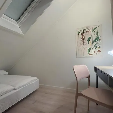 Apartment Cozy And Loft In *
